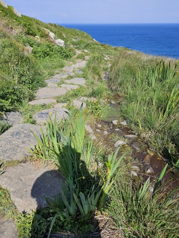 South West Coast Path - der gemütliche Anfang