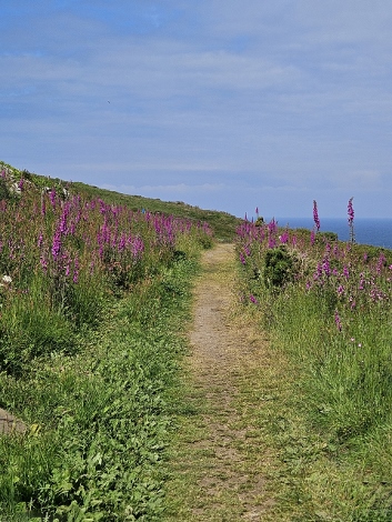 South West Coast Path - der gemütliche Anfang