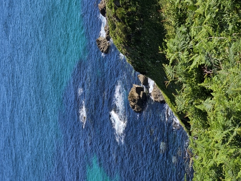 South West Coast Path - der gemütliche Anfang