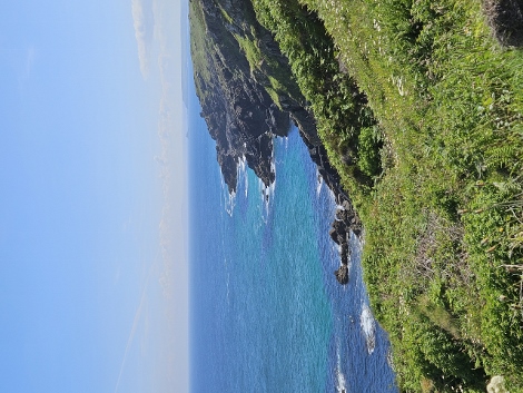 South West Coast Path - der gemütliche Anfang