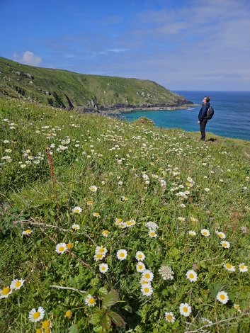 South West Coast Path - An- und Aussichten