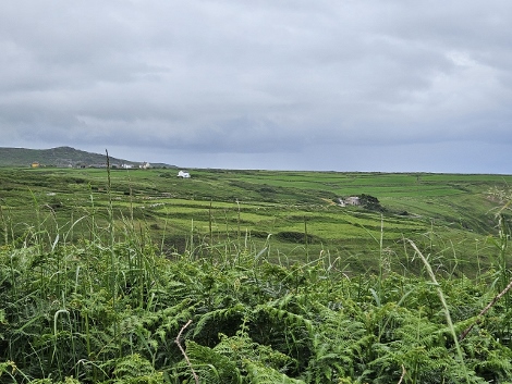South West Coast Path - grey early morning
