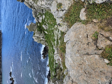 South West Coast Path - beautiful views around here