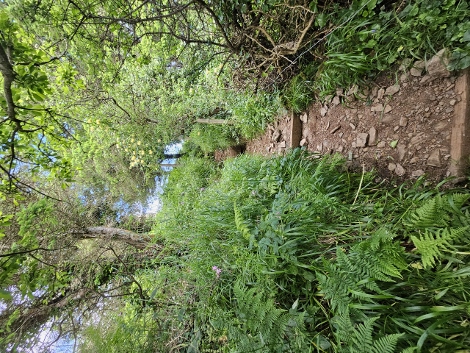 South West Coast Path - Durch diese hohle Gasse mussten wir gehen.