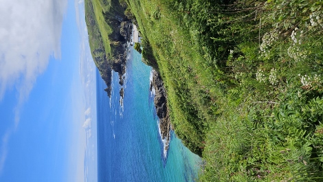 South West Coast Path - wunderschöne Aussichten