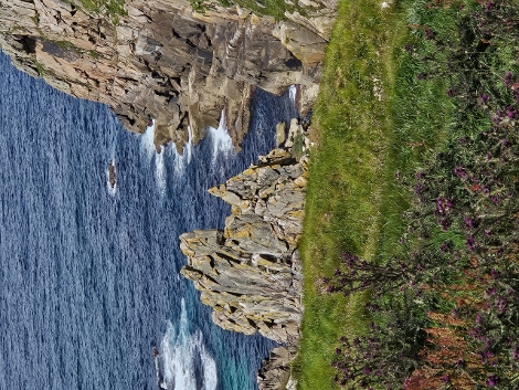 South West Coast Path - wunderschöne Aussichten