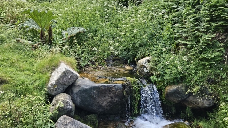 South West Coast Path - Auf und ab und geradeaus