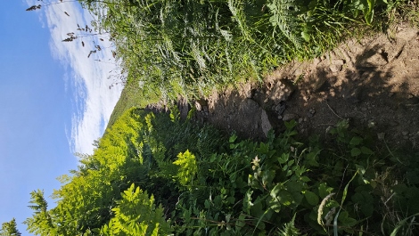 South West Coast Path - Auf und ab und geradeaus