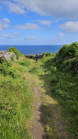 Cornwall Tin Coast Mines