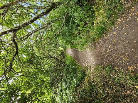 Mitten durch die Pampa