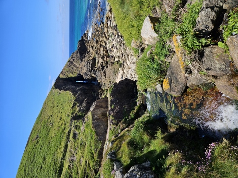 Weiter gehts über Stock und Stein