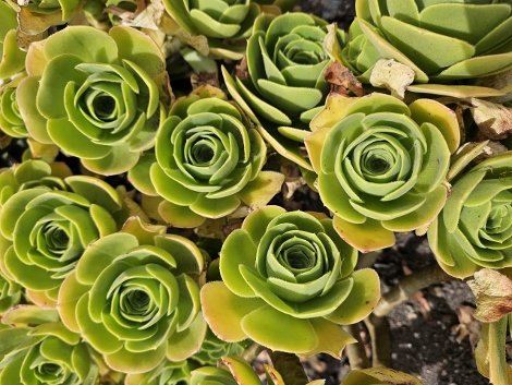 St. Michaels Mount - outside