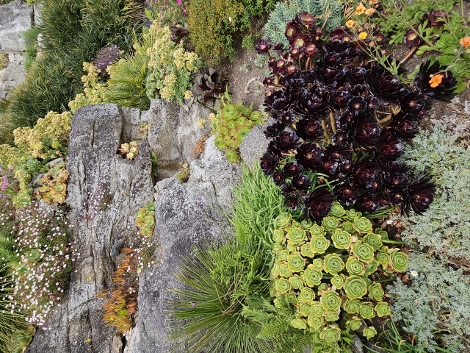 St. Michaels Mount - outside