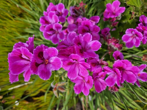 St. Michaels Mount - outside