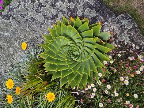 St. Michaels Mount - outside