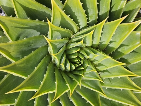 St. Michaels Mount - outside