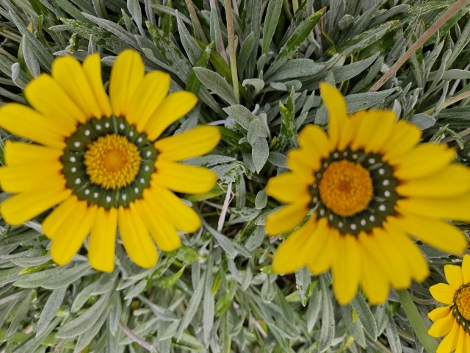 St. Michaels Mount - outside