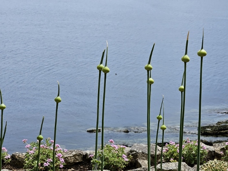 St. Michaels Mount - outside