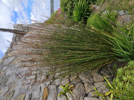St. Michaels Mount - outside