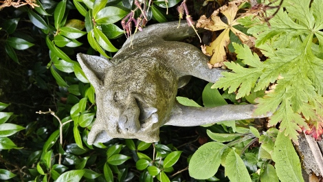 A visit to Glendurgan Garden