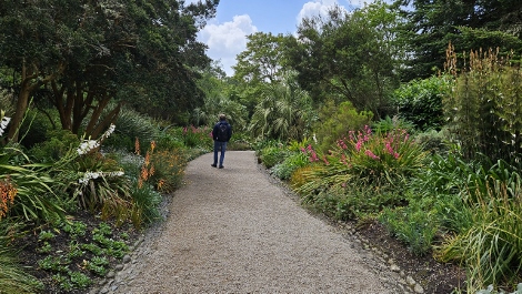 A visit to Glendurgan Garden