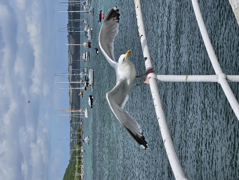 Wer nicht mit dem Schiff kommt, fliegt ein.