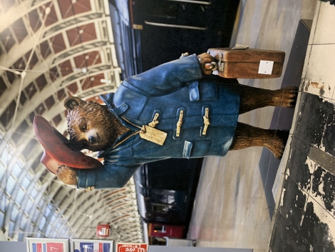 Paddington Bear everywhere