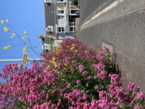 Impressionen aus St. Ives