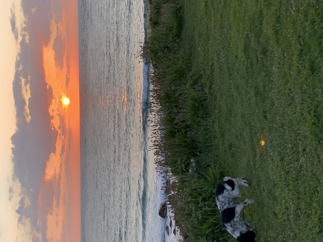 Abenddämmerung in St. Ives