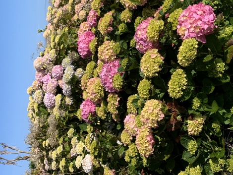 Impressionen aus St. Ives