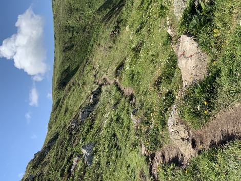 South West Coast Path - jetzt wird`s schon schwieriger