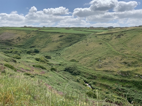 Ziemlich viel auf und ab
