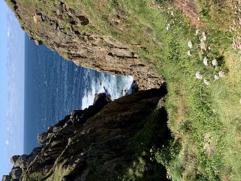 Weiter gehts über Stock und Stein