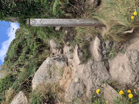 Weiter gehts über Stock und Stein