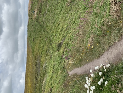 Von hier an ostwärts