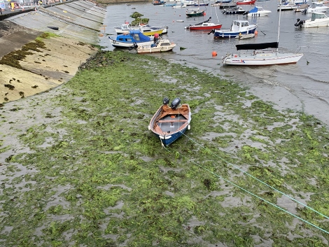 Mousehole Harbour