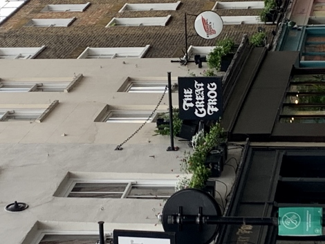 Der großartige Frosch