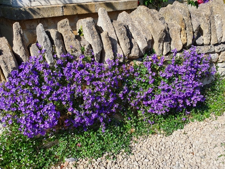 Cotswold Way - Broadway 