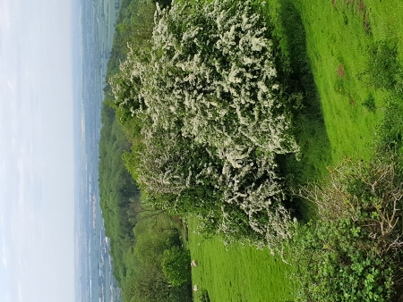 Cotswold Way - von Chipping Campden nach Broadway - Dover`s Hill 