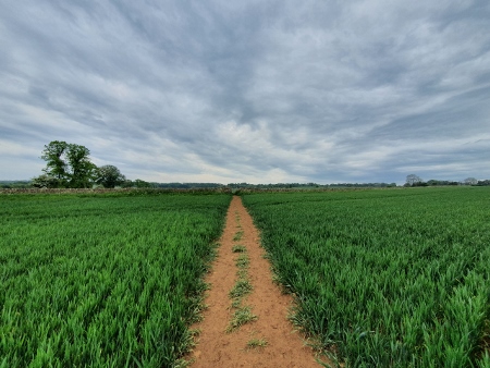 Cotswold Way - von Chipping Campden nach Broadway