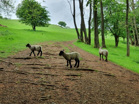 Cotswold Way - von Chipping Campden nach Broadway