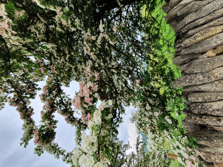 Cotswold Way - von Chipping Campden nach Broadway