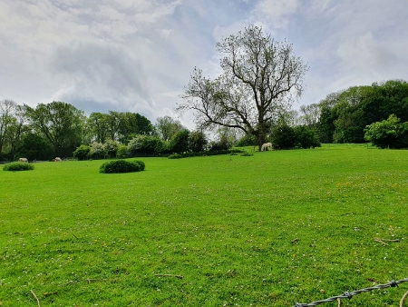 Cotswold Way - von Broadway nach Winchcombe