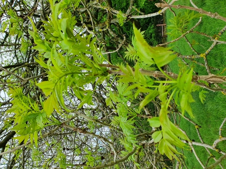 Cotswold Way - von Broadway nach Winchcombe