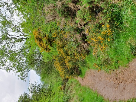 Cotswold Way - von Broadway nach Winchcombe