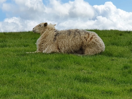 Cotswold Way - von Broadway nach Winchcombe