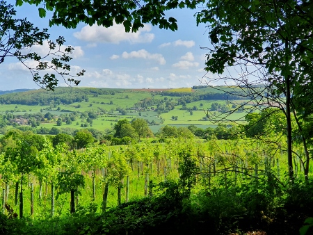 Cotswold Way - von Winchcombe nach Charlton Kings