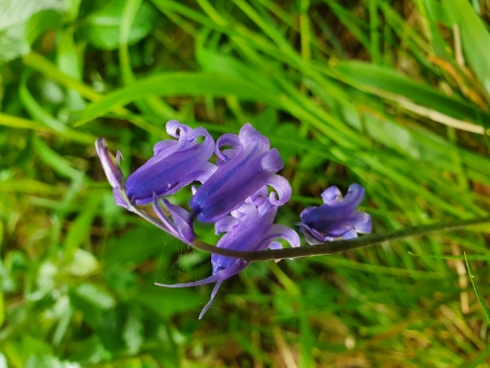 Cotswold Way - von Winchcombe nach Charlton Kings