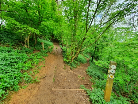 Cotswold Way - von Charlton Kings nach Birdlip