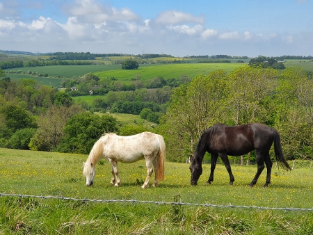 Cotswold Way - von Charlton Kings nach Birdlip